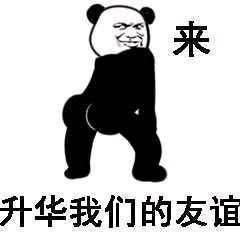有你的照片表情包别人