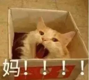 湖南浏阳瞒报事故死亡人数国务院安委办性质恶劣,影响极坏