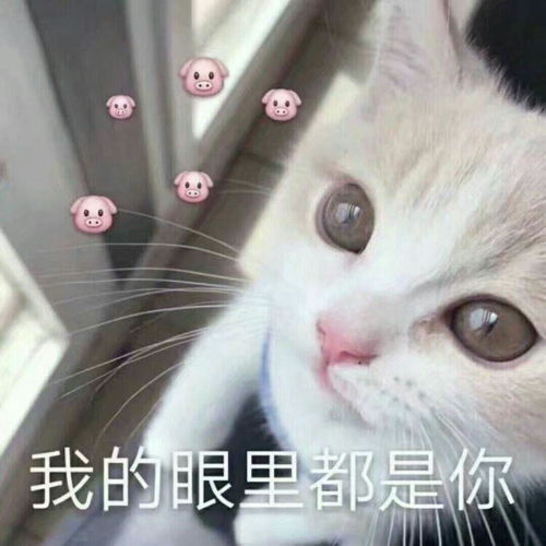 有哪些可以令人笑得窒息的笑话