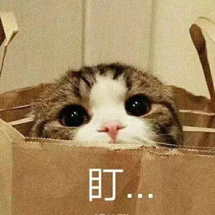 11.11秒杀最底价第三波