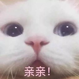 怎么让男女朋友不经意地看到这篇文章