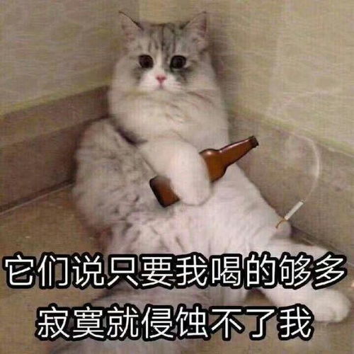 喜欢一个女生,想靠近她,该怎么办