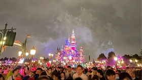 上海迪士尼乐园夜晚烟花秀演出现场全程20分钟无删减完整版收藏向