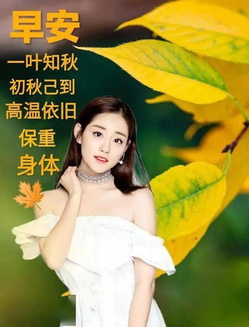 小美女早安表情长腿