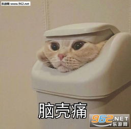 咬牙切齿记仇中表情包图片只要你成为一个废物就没人能够利用你表情包下载乐游网游戏下载