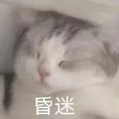 梨绘.的相册喵