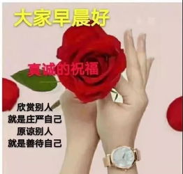 11月27日周三群发早上好问候祝福动态表情图片最美早晨好问候表情动态图片