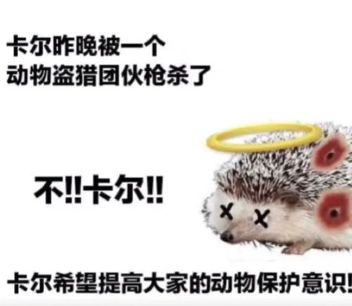 无标题