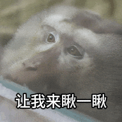 悟空霸榜热搜天命人来贵州上分