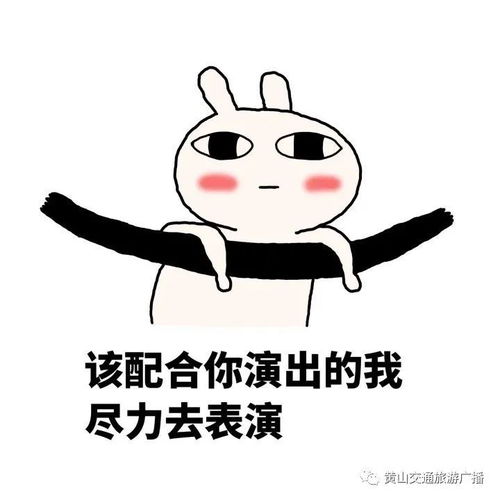 晴天丫头,是我你不满意