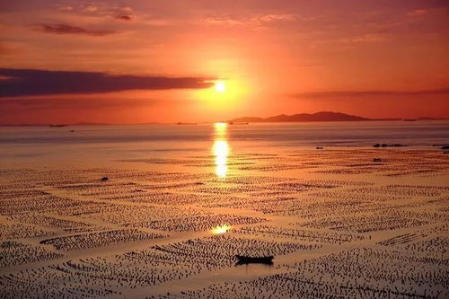 魔都海岛控在哪里??...上海周边10大小众海岛大盘点!这里人少景美!