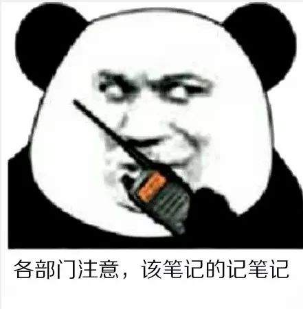白菜价保险等你来薅耗子尾汁吧
