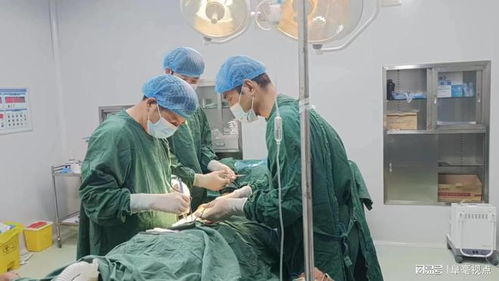 阜南县王家坝镇卫生院开展包皮环切手术助力青少年健康成长