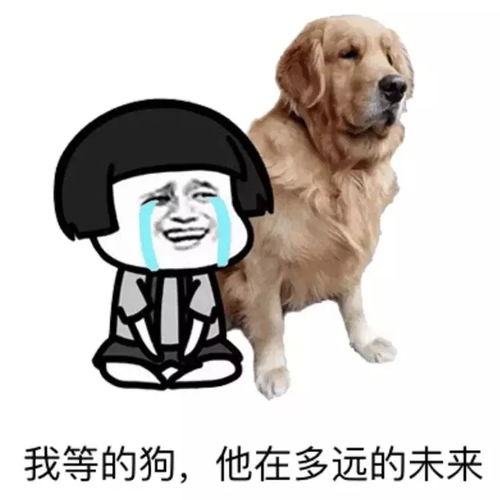 对不起,我们分手吧因为你是包头人