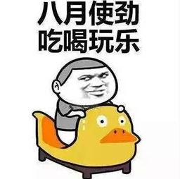 玩疯了这张高考准考证刷爆了眉山人的朋友圈可背后的秘密让人震惊