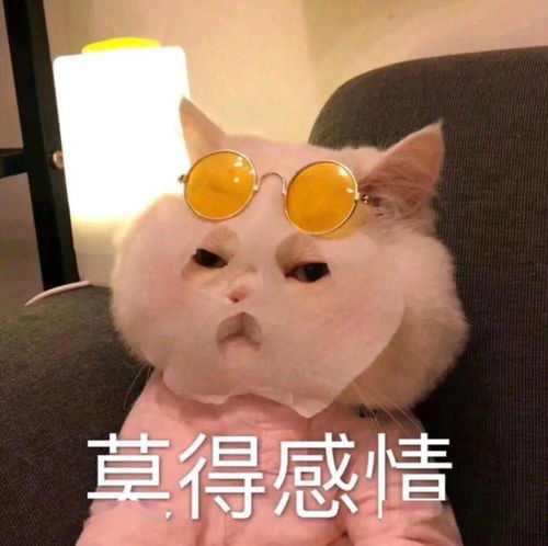 会动的超小表情包微信马云