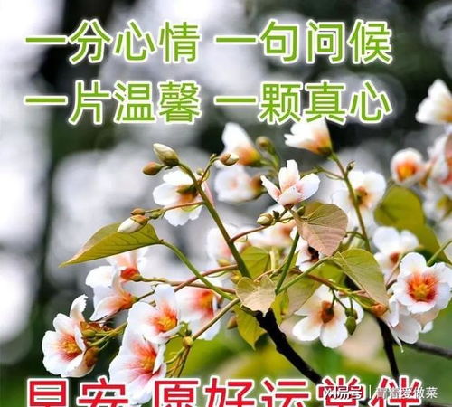早上好动画表情问候语