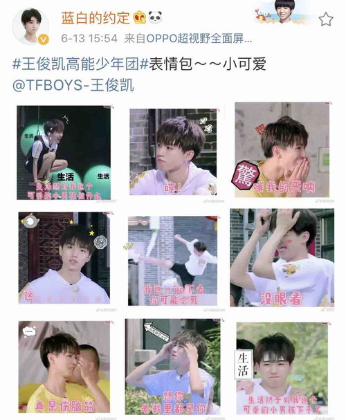王俊凯表情包合集清洌温润沁人心脾