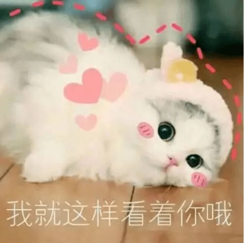双11快乐脱单行联谊活动即将启动,缘来就是你