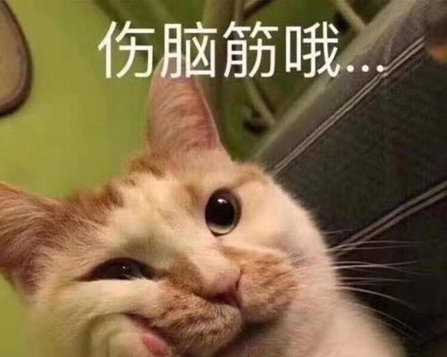 星光大赏后首营业,肖战更新两平台动态,用耶迎接2021