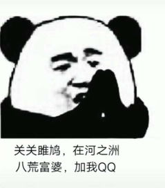 抖音熊猫头表情包关关雎鸠是什么鬼