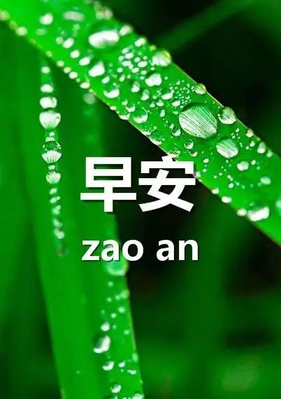 微信早安问候语微信早安祝福语
