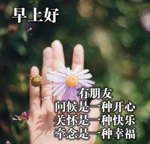亲爱的朋友们早上好