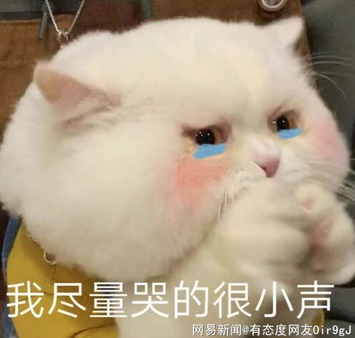 他的网易跟贴
