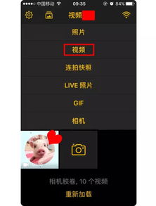 干货丨如何将视频转化成表情包
