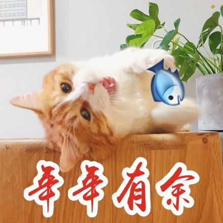 抓住2019年的尾巴,给大家送上元旦表情包,祝大家心想事成