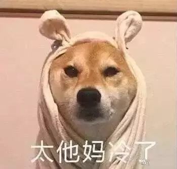 表示很冷的表情包合集今天那么冷,要不要来一个爱的抱抱啊