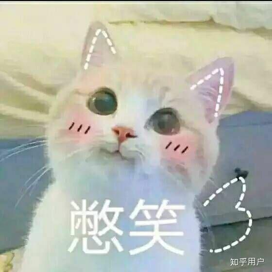 的表情包可爱可爱
