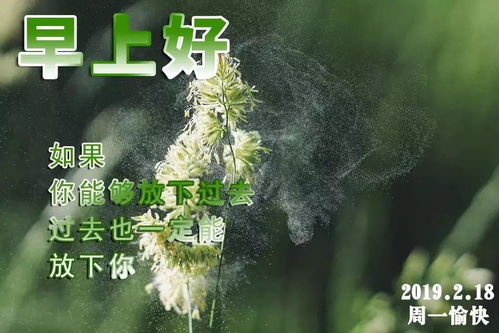正月十四微信早晨好祝福语表情动态图最新早上好表情图片合集