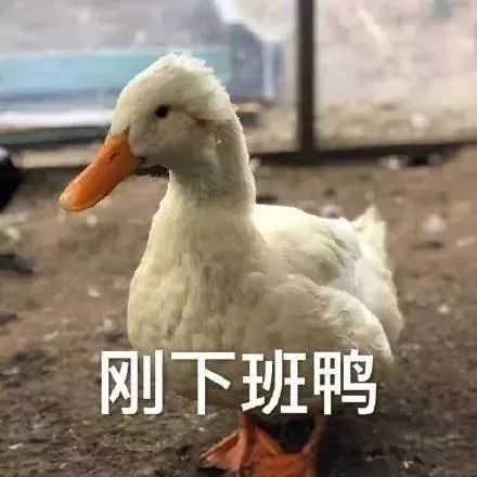 上班下班表情包