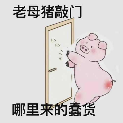 近期热门表情包i这个冬天最佳暖脚方式我们可以这样吗