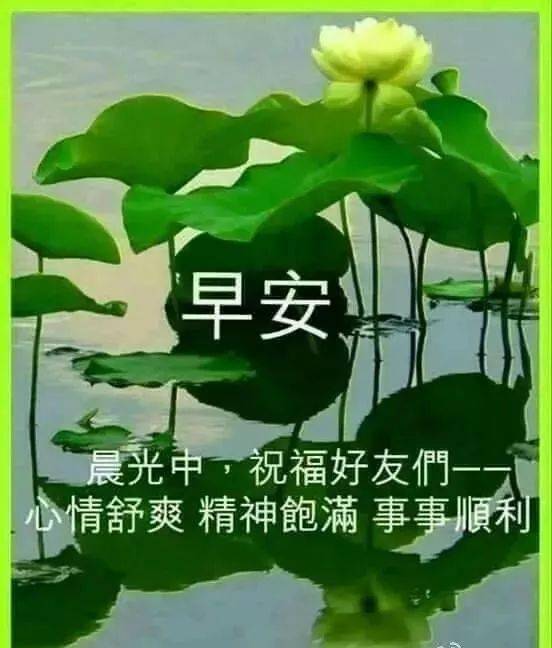 2021牛年清晨早上好的微信动态表情早上好的微信表情图片