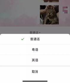 微信重磅更新表情包斗图有大变化看到第1个就不淡定了