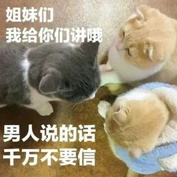 八块腹肌表情包图片开心笑话