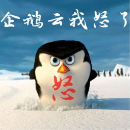 企鹅云我怒了skybox单曲网易云音乐