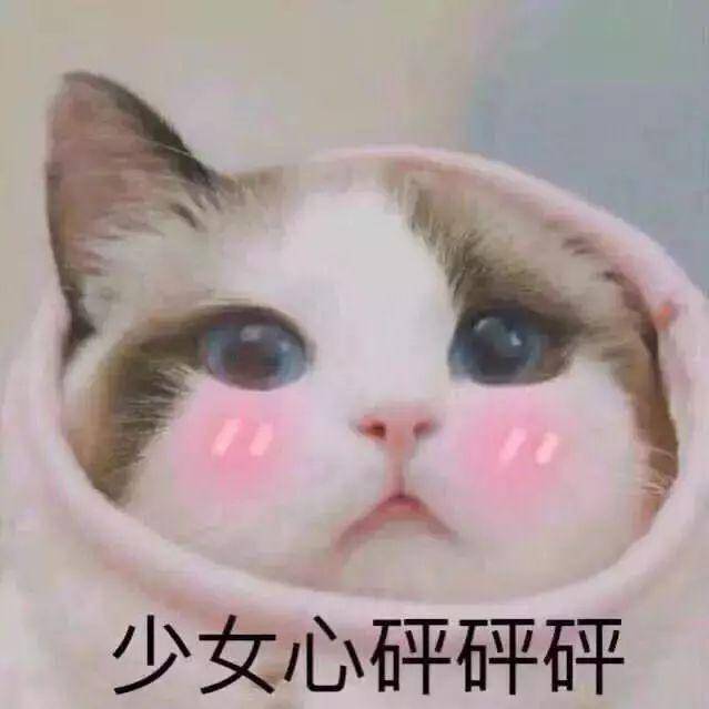 cp发糖表情包张嘉倪
