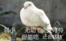 一个十连结束战斗