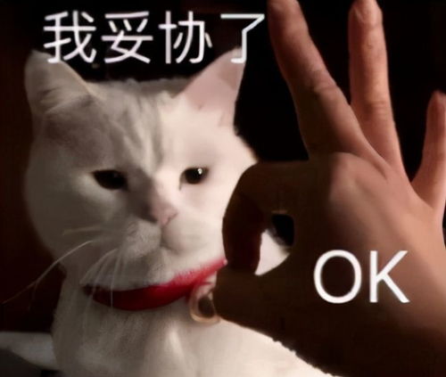 出事海王的故事把小桃红逼上绝路后,他们的魔爪又伸向小魔仙