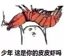 2017第二波表情包热力来袭皮皮虾象拔蚌,阿拉一道走