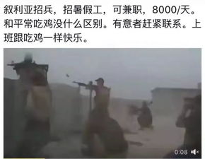 趣图8000一天的工作,你敢去吗