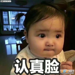 认真脸表情包图片不理不理王八是你表情包图片下载乐游网游戏下载