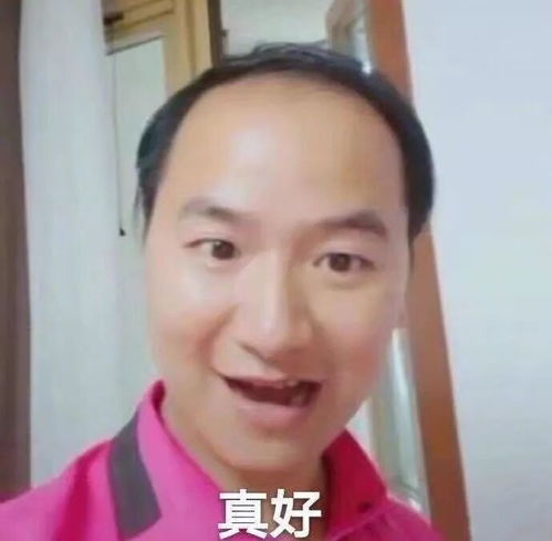 网络真人表情包韩乐