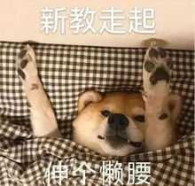 叮上体表情包第二弹来袭,请注意查收