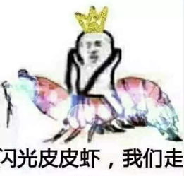 缤纷龙卡,聚惠龙江
