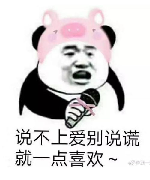 我是个小小小插画师,你们有什么想问的