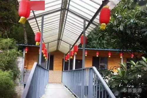 什么这个夏天仰天峡不止漂流,更有承包你整个夏天的快乐攻略